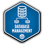 Database Management Logo